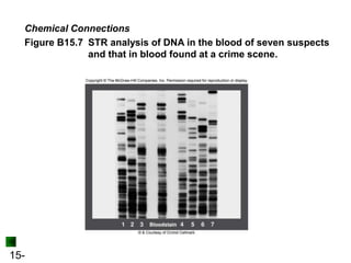15-
Chemical Connections
Figure B15.7 STR analysis of DNA in the blood of seven suspects
and that in blood found at a crime scene.
 