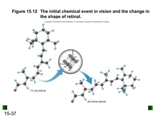 15-37
Figure 15.12 The initial chemical event in vision and the change in
the shape of retinal.
 