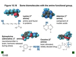 15-68
Figure 15.18 Some biomolecules with the amine functional group.
Lysine (1°
amine)
amino acid found
in proteins
Adenine (1°
amine)
component of
nucleic acids
Epinephrine
(adrenaline; 2° amine)
neurotransmitter in
brain; hormone released
during stress
Cocaine (3°
amine)
brain stimulant;
widely abused drug
 