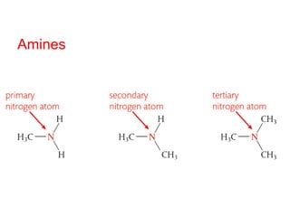 Amines
 