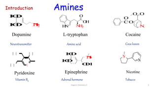 Introduction
N
H
2
H
O
H
O
H
O
O
H
N
H
H
O
N
H
2
H
N
O
O
H
Dopamine
Epinephrine
L-tryptophan
N
N
Nicotine
Tobacco
Amino acid
Neurotransmitter
Adrenal hormone
N
H O
H O O H
Pyridoxine
Vitamin B6
Cocaine
N
O O
O
C
O
Coca leaves
Organic Chemistry 3 2
Amines
 