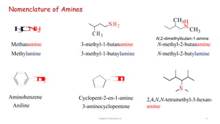 N H 2
C H 3
3-methyl-1-butanamine N-methyl-2-butanamine
H
3
C
N
H
2
Methanamine
Aminobenzene
N
H
2
Aniline
N
H
2
Cyclopent-2-en-1-amine
3-aminocyclopentene
Nomenclature of Amines
Methylamine 3-methyl-1-butaylamine N-methyl-2-butylamine
N
2,4,N,N-tetramethyl-3-hexan-
amine
Organic Chemistry 3 3
 