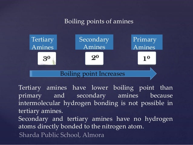 Are Amines Liquid At Room Temperature Are Amines Liquid At Room Temperature