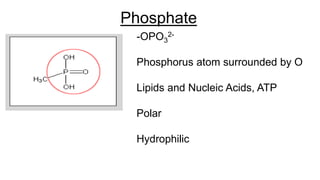 Phosphate
-OPO3
2-
Phosphorus atom surrounded by O
Lipids and Nucleic Acids, ATP
Polar
Hydrophilic
 