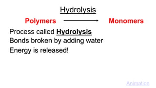 Polymers Monomers
Process called Hydrolysis
Bonds broken by adding water
Energy is released!
Animation
Hydrolysis
 