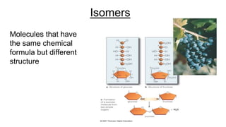 Isomers
Molecules that have
the same chemical
formula but different
structure
 