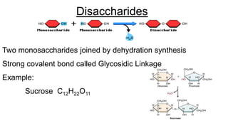 Disaccharides
Two monosaccharides joined by dehydration synthesis
Strong covalent bond called Glycosidic Linkage
Example:
Sucrose C12H22O11
 
