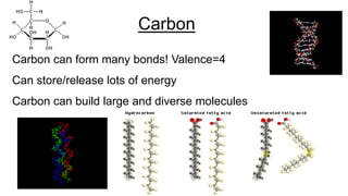 Carbon can form many bonds! Valence=4
Can store/release lots of energy
Carbon can build large and diverse molecules
Carbon
 