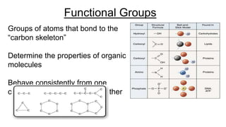 Functional Groups
Groups of atoms that bond to the
“carbon skeleton”
Determine the properties of organic
molecules
Behave consistently from one
carbon-based molecule to another
 