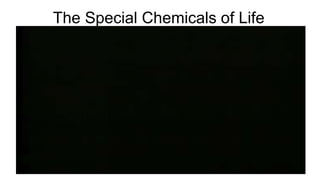 The Special Chemicals of Life
 