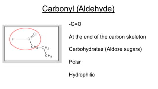 Carbonyl (Aldehyde)
-C=O
At the end of the carbon skeleton
Carbohydrates (Aldose sugars)
Polar
Hydrophilic
 