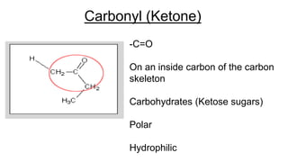 Carbonyl (Ketone)
-C=O
On an inside carbon of the carbon
skeleton
Carbohydrates (Ketose sugars)
Polar
Hydrophilic
 