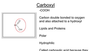 Carboxyl
-COOH
Carbon double bonded to oxygen
and also attached to a hydroxyl
Lipids and Proteins
Polar
Hydrophilic
 