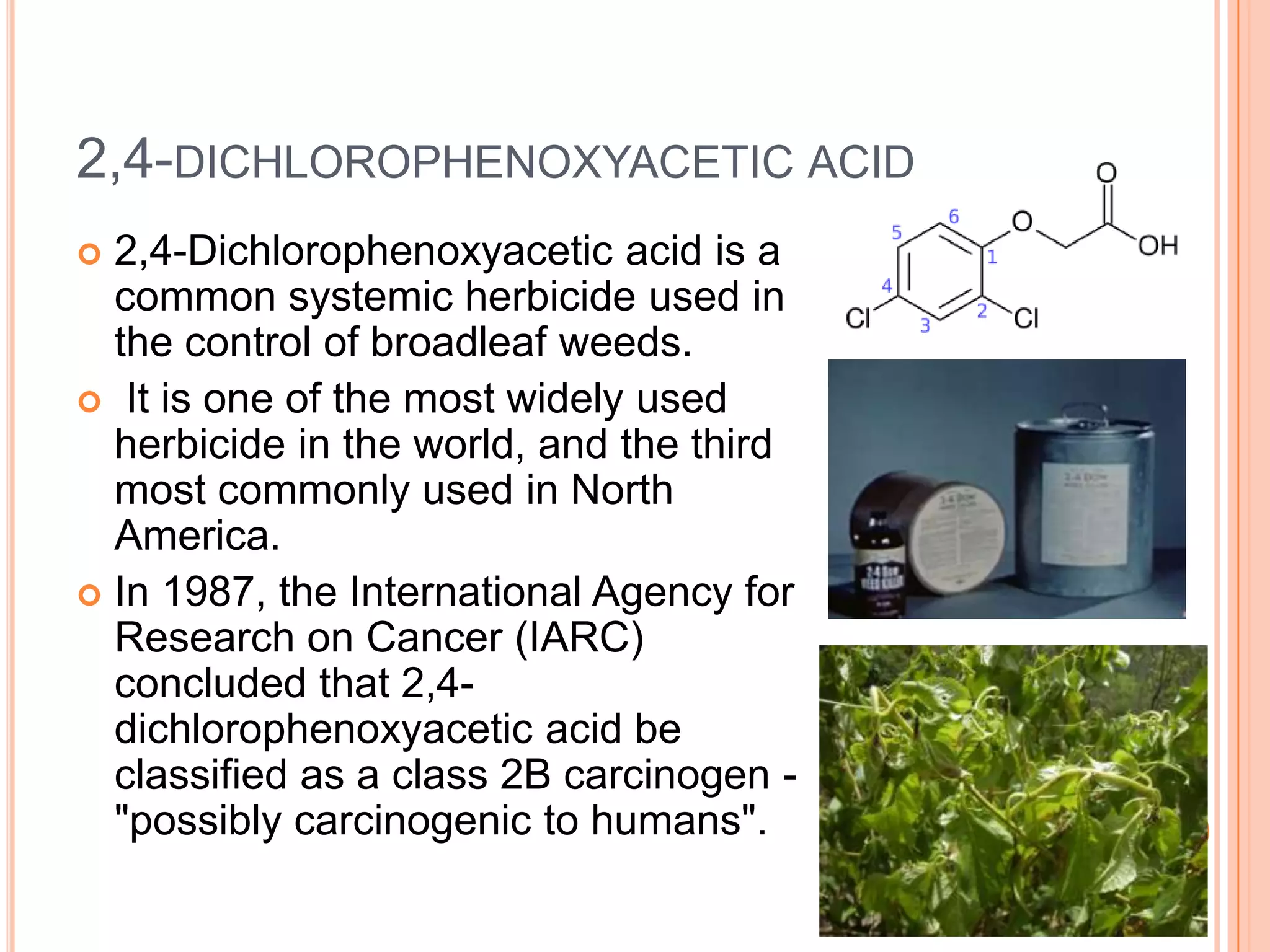 Organic Chemistry In Agriculture PPTX organic-chemistry-in-agriculture-pptx