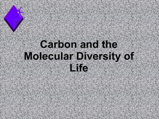 Carbon and the Molecular Diversity of Life 