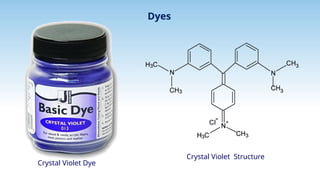 Organic Chemistry Basic Principless.pptx