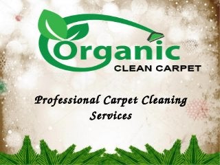 Professional Carpet Cleaning 
Services 
 
