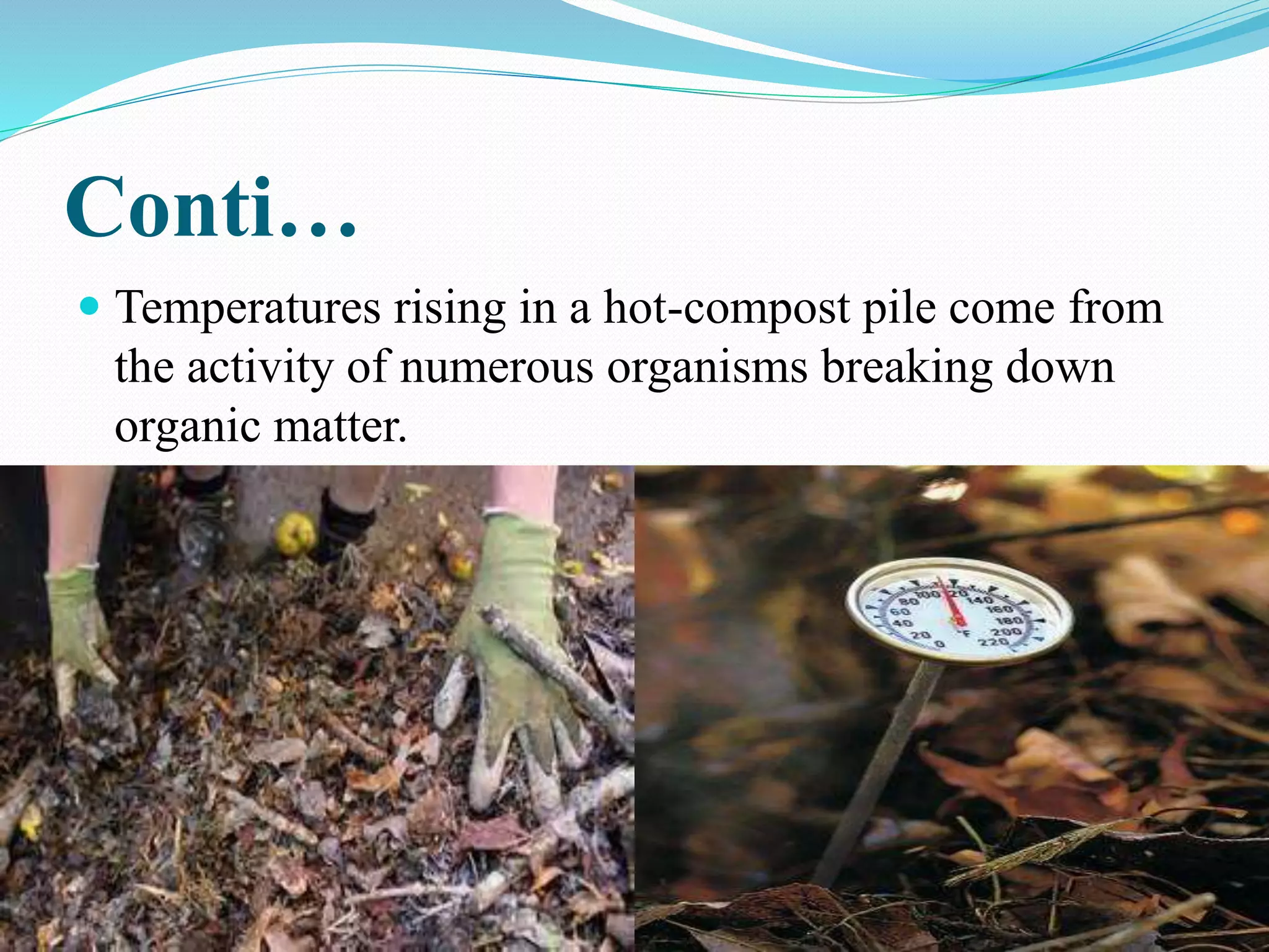 Conti…
 Temperatures rising in a hot-compost pile come from
the activity of numerous organisms breaking down
organic matter.
 