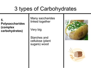 3 types of Carbohydrates
5.
Polysaccharides
(complex
carbohydrates)

Many saccharides
linked together
Very big
Starches and
cellulose (plant
sugars) wood

 