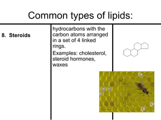Common types of lipids:
8. Steroids

hydrocarbons with the
carbon atoms arranged
in a set of 4 linked
rings.
Examples: cholesterol,
steroid hormones,
waxes

 