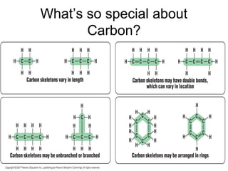 What’s so special about
Carbon?
Carbon can use its bonds to
– Attach to other carbons
– Form an endless diversity of carbon
skeletons

 