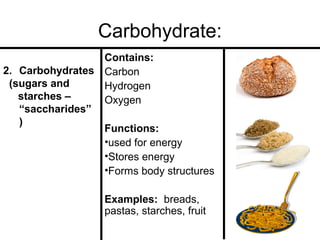 Carbohydrate:
Contains:
2. Carbohydrates Carbon
(sugars and
Hydrogen
starches –
Oxygen
“saccharides”
)
Functions:
•used for energy
•Stores energy
•Forms body structures
Examples: breads,
pastas, starches, fruit

 