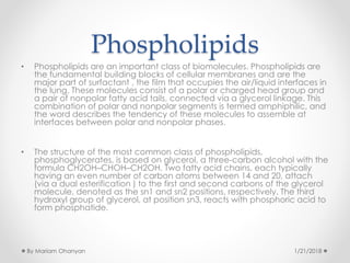 Phospholipids
• Phospholipids are an important class of biomolecules. Phospholipids are
the fundamental building blocks of cellular membranes and are the
major part of surfactant , the film that occupies the air/liquid interfaces in
the lung. These molecules consist of a polar or charged head group and
a pair of nonpolar fatty acid tails, connected via a glycerol linkage. This
combination of polar and nonpolar segments is termed amphiphilic, and
the word describes the tendency of these molecules to assemble at
interfaces between polar and nonpolar phases.
• The structure of the most common class of phospholipids,
phosphoglycerates, is based on glycerol, a three-carbon alcohol with the
formula CH2OH–CHOH–CH2OH. Two fatty acid chains, each typically
having an even number of carbon atoms between 14 and 20, attach
(via a dual esterification ) to the first and second carbons of the glycerol
molecule, denoted as the sn1 and sn2 positions, respectively. The third
hydroxyl group of glycerol, at position sn3, reacts with phosphoric acid to
form phosphatide.
1/21/2018By Mariam Ohanyan
 
