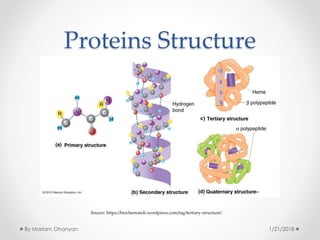Proteins Structure
Source: https://biochemandi.wordpress.com/tag/tertiary-structure/
1/21/2018By Mariam Ohanyan
 