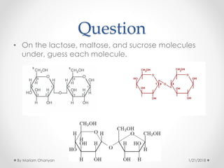 Question
• On the lactose, maltose, and sucrose molecules
under, guess each molecule.
1/21/2018By Mariam Ohanyan
 