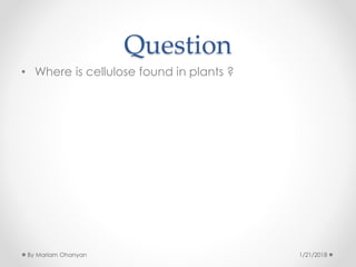 Question
• Where is cellulose found in plants ?
1/21/2018By Mariam Ohanyan
 