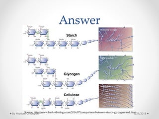 Answer
Source: http://www.bankofbiology.com/2014/07/comparison-between-starch-glycogen-and.html
1/21/2018By Mariam Ohanyan
 