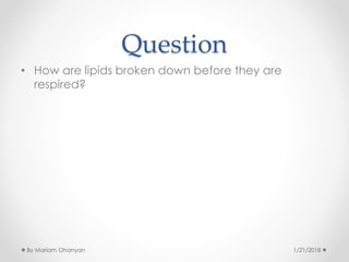 Question
• How are lipids broken down before they are
respired?
1/21/2018By Mariam Ohanyan
 