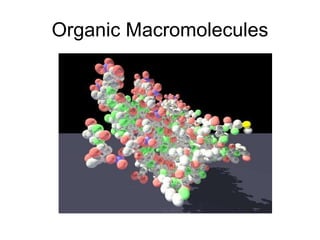 Organic Macromolecules 