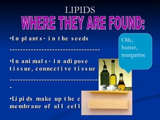 LIPIDS WHERE THEY ARE FOUND: In plants- in the seeds ---------------------------------- In animals- in adipose tissue, connective tissue ----------------------------------- Lipids make up the cell membrane of all cells.  Oils, butter, margarine 