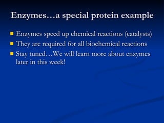 Enzymes…a special protein example Enzymes speed up chemical reactions (catalysts) They are required for all biochemical reactions Stay tuned…We will learn more about enzymes later in this week! 