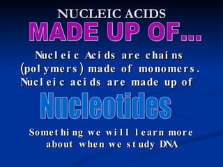 NUCLEIC ACIDS MADE UP OF... Nucleic Acids are chains (polymers) made of monomers. Nucleic acids are made up of  Nucleotides Something we will learn more about when we study DNA 