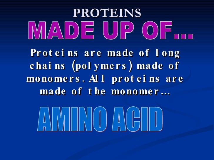 What are polymers of protein made of?