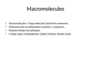 Macromolecules
• Macromolecules = 'large molecules' built from monomers.
• Monomers join via dehydration synthesis → polymers.
• Polymers broken by hydrolysis.
• 4 major types: Carbohydrates, Lipids, Proteins, Nucleic Acids.
 