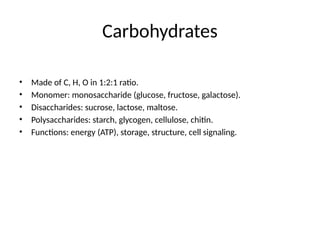 Carbohydrates
• Made of C, H, O in 1:2:1 ratio.
• Monomer: monosaccharide (glucose, fructose, galactose).
• Disaccharides: sucrose, lactose, maltose.
• Polysaccharides: starch, glycogen, cellulose, chitin.
• Functions: energy (ATP), storage, structure, cell signaling.
 