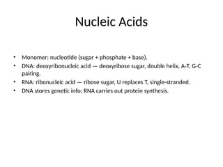 Nucleic Acids
• Monomer: nucleotide (sugar + phosphate + base).
• DNA: deoxyribonucleic acid — deoxyribose sugar, double helix, A-T, G-C
pairing.
• RNA: ribonucleic acid — ribose sugar, U replaces T, single-stranded.
• DNA stores genetic info; RNA carries out protein synthesis.
 