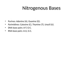 Nitrogenous Bases
• Purines: Adenine (A), Guanine (G).
• Pyrimidines: Cytosine (C), Thymine (T), Uracil (U).
• DNA base pairs: A-T, G-C.
• RNA base pairs: A-U, G-C.
 