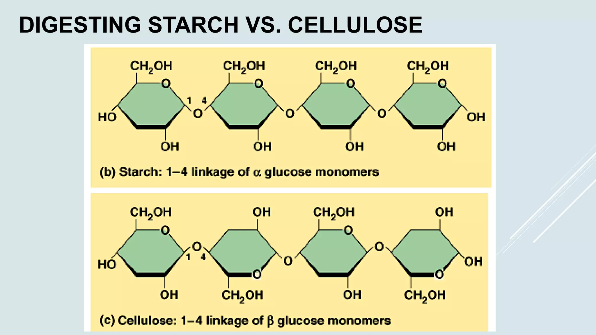 Organic compounds presentation | PPTX