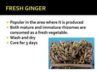  Popular in the area where it is produced
 Both mature and immature rhizomes are
consumed as a fresh vegetable.
 Wash and dry
 Cure for 3 days
 