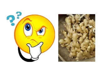 Organic cultivation in Ginger