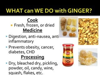 Cook
 Fresh, frozen, or dried
Medicine
 Digestion, anti-nausea, anti-
inflammatory
 Prevents obesity, cancer,
diabetes,CHD
Processing
 Dry, bleached dry, pickling,
powder, oil, candy, wine,
squash, flakes, etc.
 