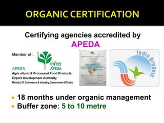 Certifying agencies accredited by
APEDA
 18 months under organic management
 Buffer zone: 5 to 10 metre
 