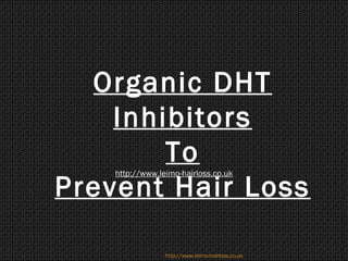 Organic DHT
    Inhibitors
        To
    http://www.leimo-hairloss.co.uk

Prevent Hair Loss

                 http://www.leimo-hairloss.co.uk
 