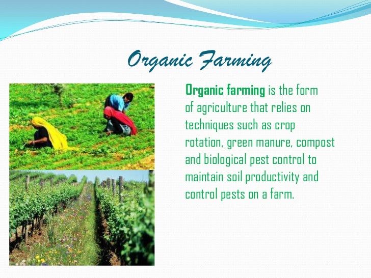 organic-farming