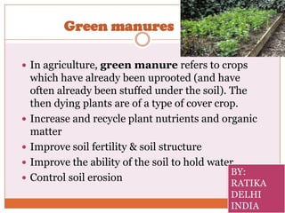 Green Menuring Organic farming | PPTX