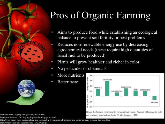 Pros And Cons Of Organic Food And Non Organic Foods Pros And Cons Of Organic Food And Non Organic Foods